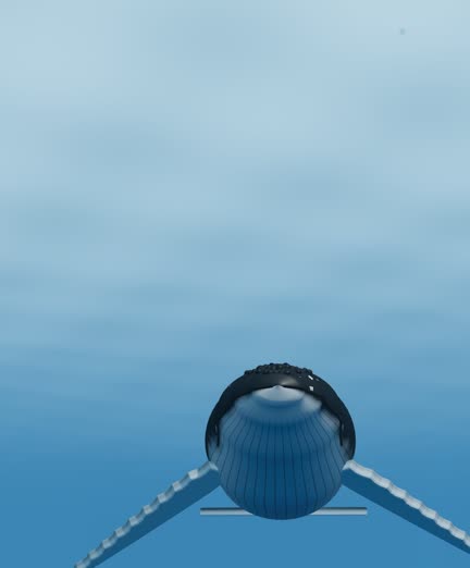 Baleia 3D
