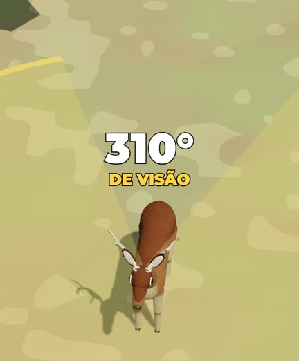 Leque de visão de 310 graus